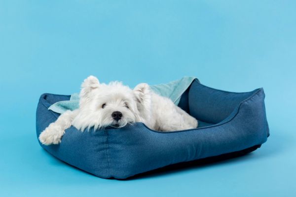 Le panier fluffy pour chien, un allier de confort indispensable
